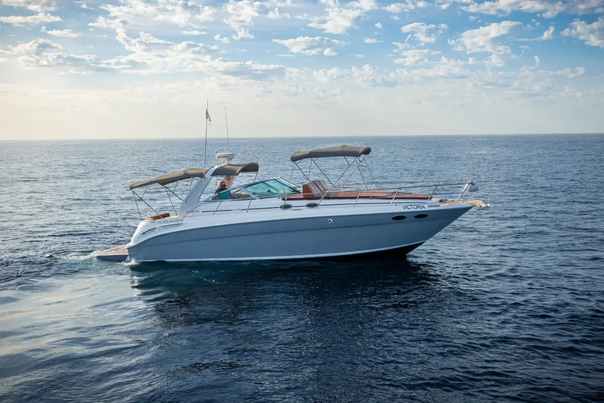 Sea Ray Victoria underway on open water