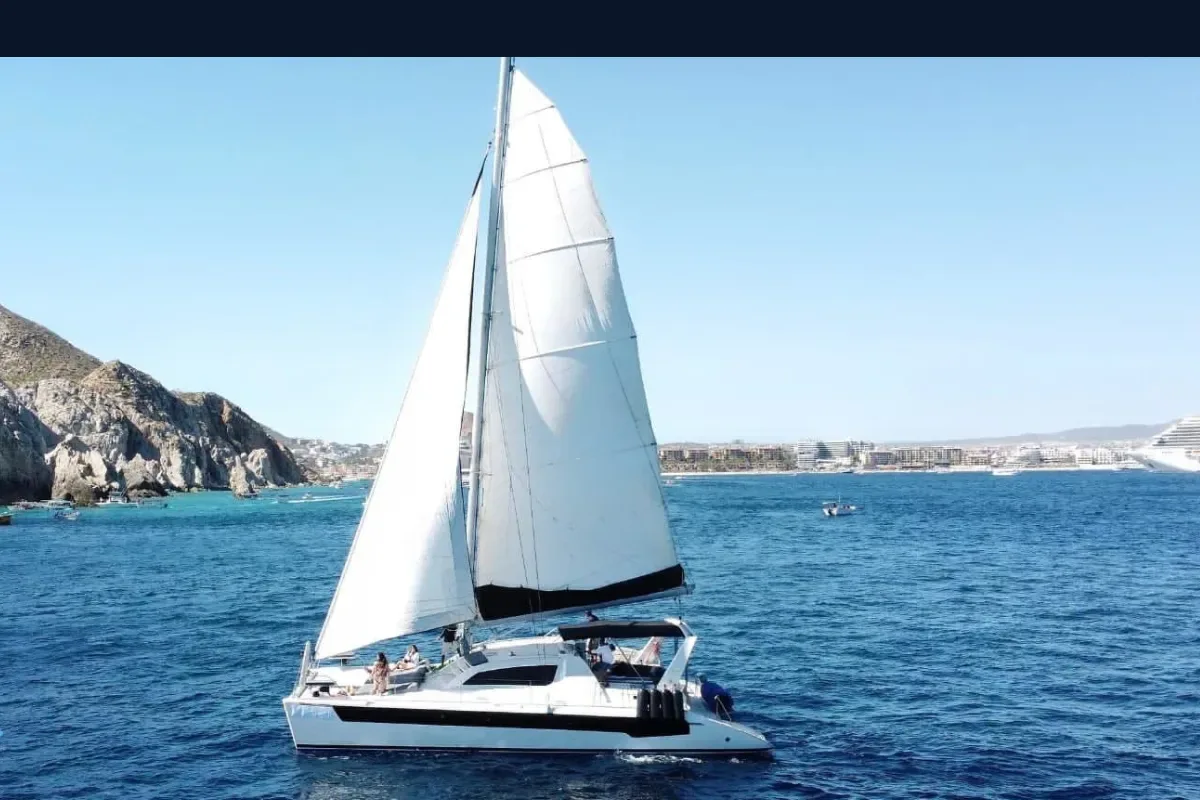 Leopard sailing along the Cabo coastline
